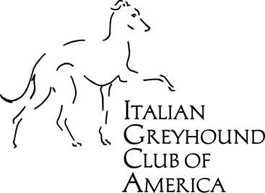 Italian Greyhound club of America